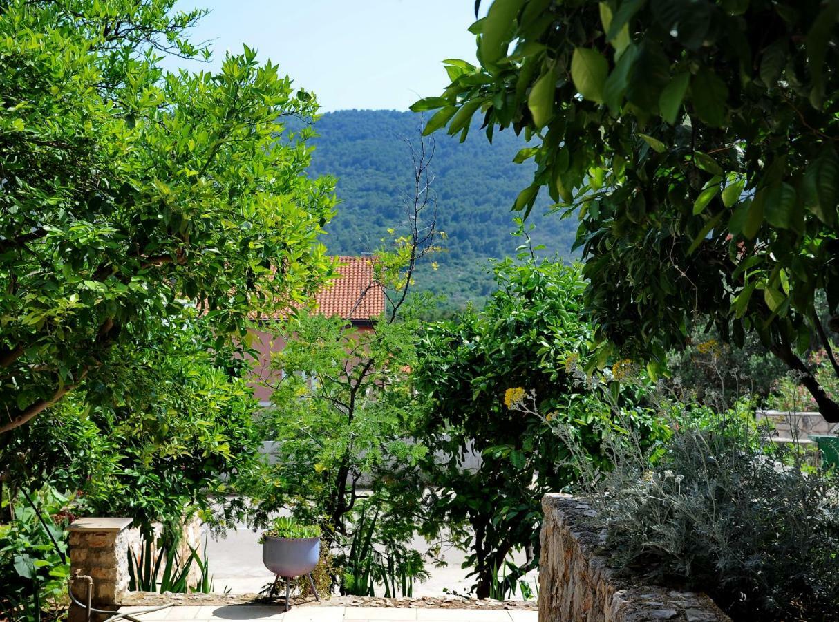 Apartments Marcela สตารีกราด ภายนอก รูปภาพ